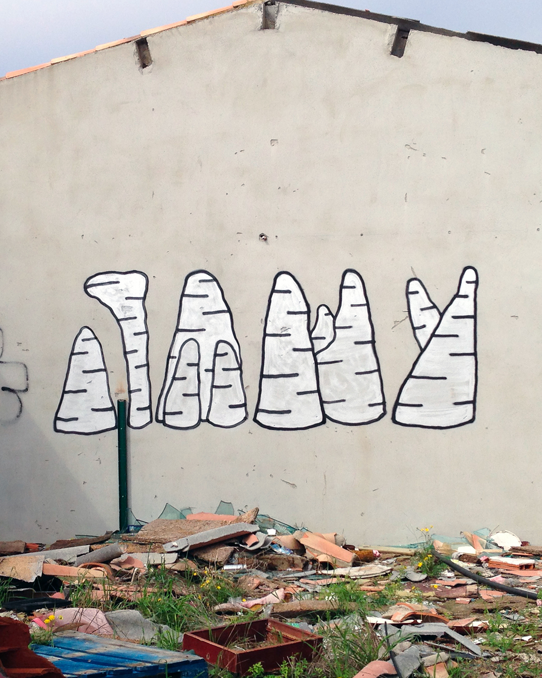 2014_jamyneral_capagde