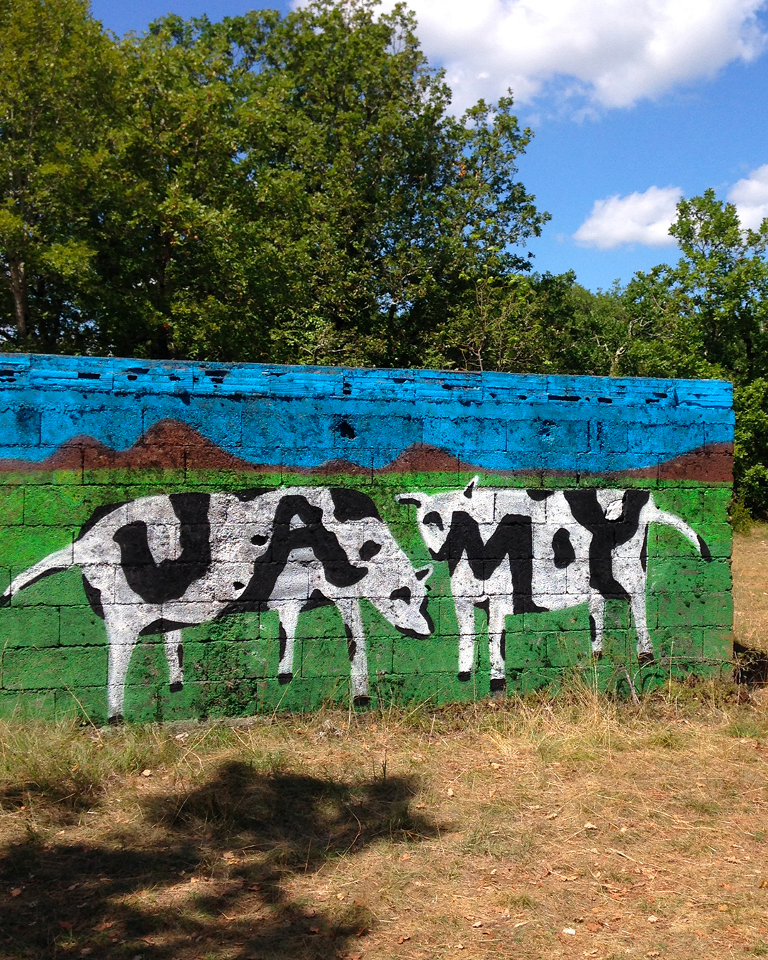 2015_jamylka_saujac